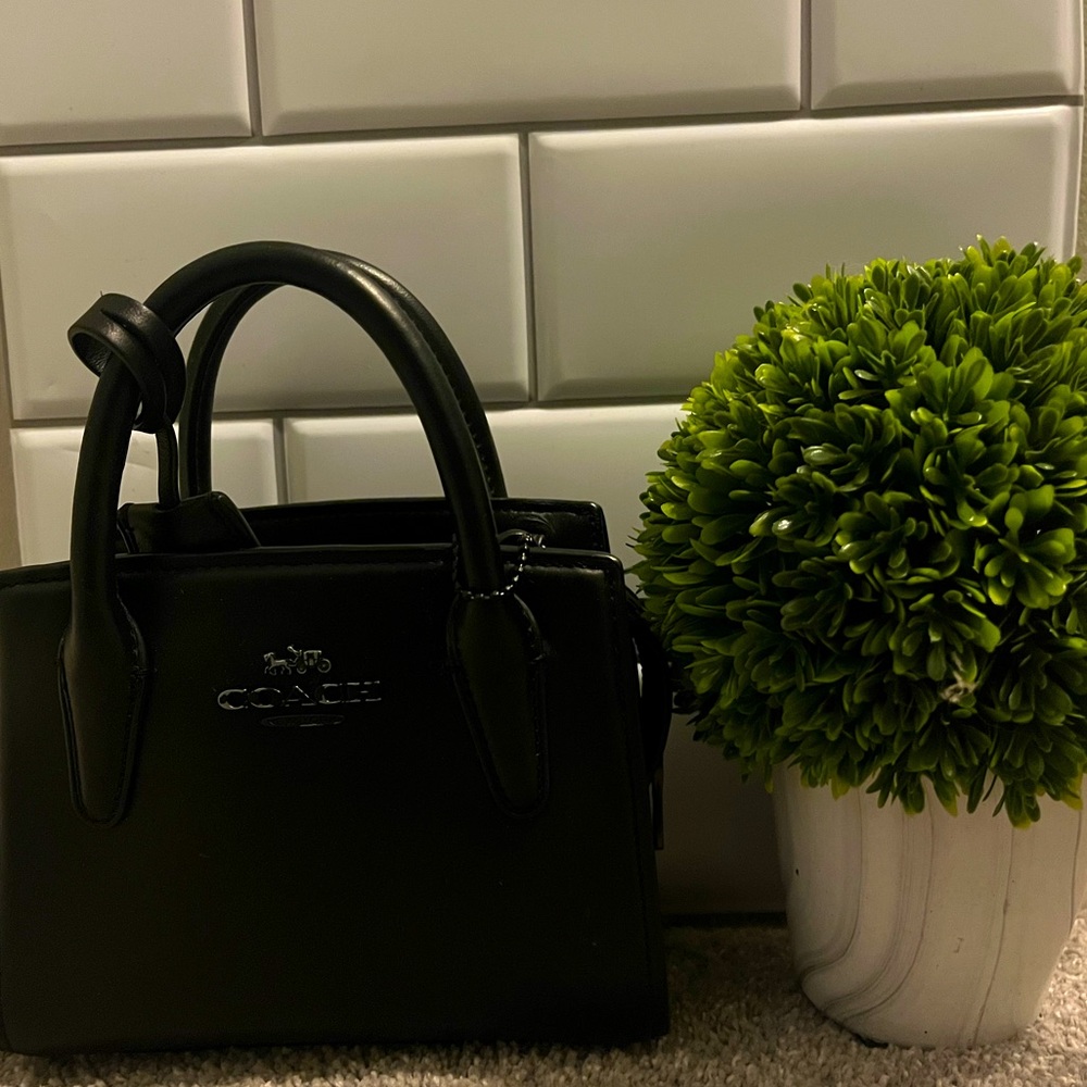 Andrea Mini Carryall Coach Bag